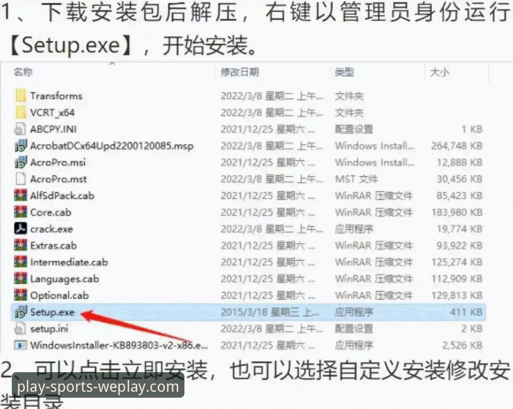 微玩体育平台电脑版使用指南：新手必看的完整安装与体验教程