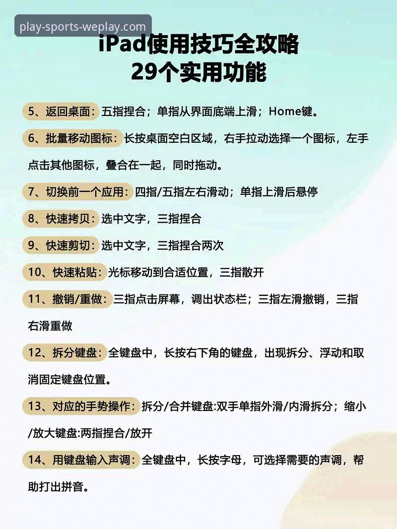 微玩体育平台电脑版使用指南：新手必看的完整安装与体验教程